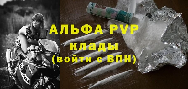 СК Белокуриха