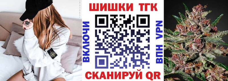 закладки Куровское Канабис сатива